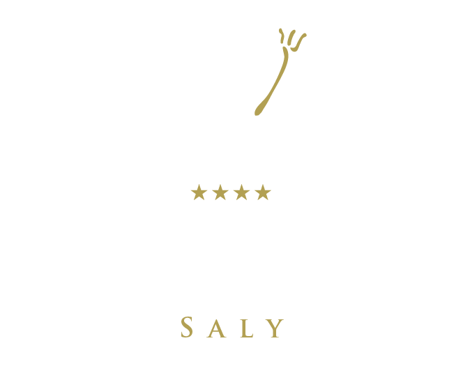 Logo Hôtel Neptune Saly Sénégal